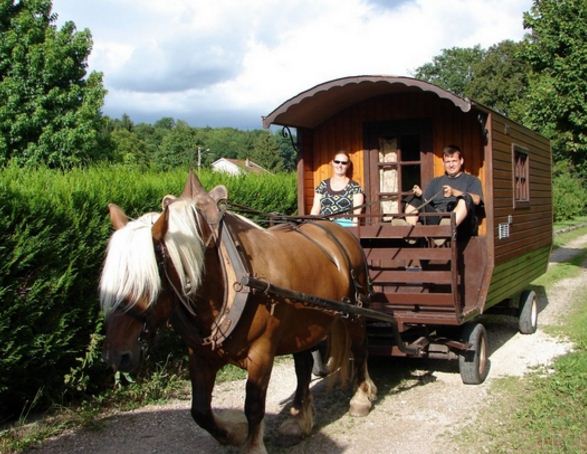 Location de calèche, balade, anniversaire